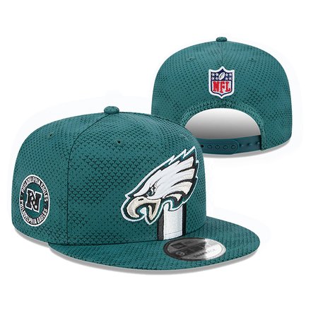 Philadelphia Eagles Knit Hat