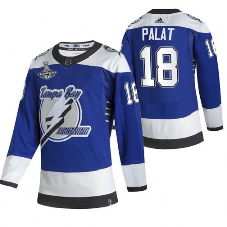 Men's Tampa Bay Lightning #18 Ondrej Palat 2021 Blue Stanley Cup Champions Reverse Retro Stitched Jersey